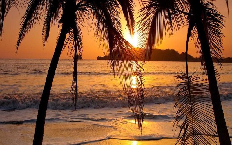 Hotel La Gaviota Tropical プラヤ・エルモサ エクステリア 写真