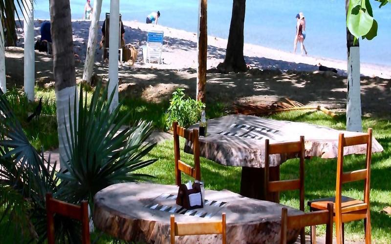 Hotel La Gaviota Tropical プラヤ・エルモサ エクステリア 写真