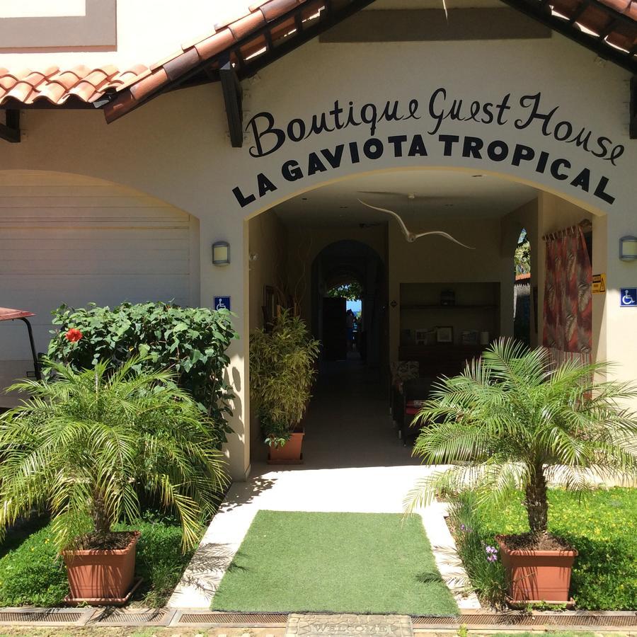 Hotel La Gaviota Tropical プラヤ・エルモサ エクステリア 写真
