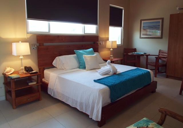 Hotel La Gaviota Tropical プラヤ・エルモサ エクステリア 写真